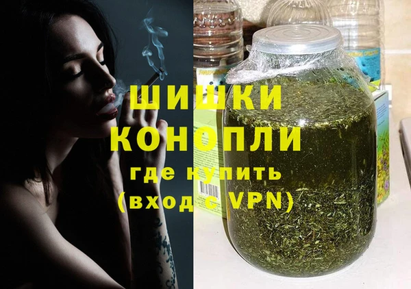 хмурый Гусев