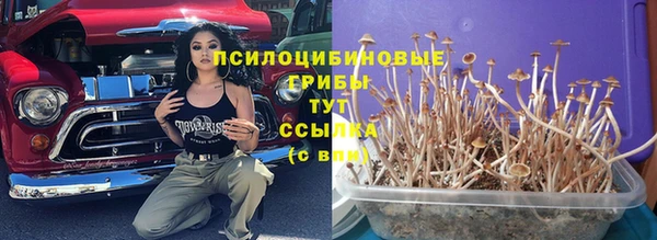 скорость mdpv Гусиноозёрск