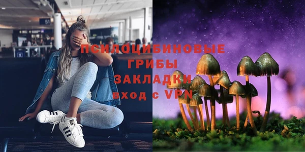 хмурый Гусев