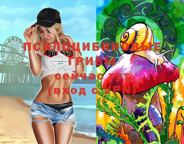 марки lsd Гусь-Хрустальный