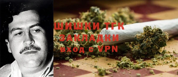 молекула духа Вуктыл
