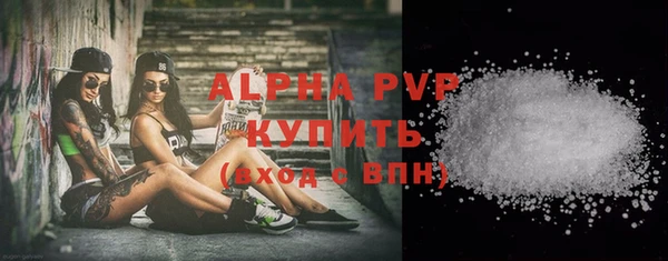 хмурый Гусев