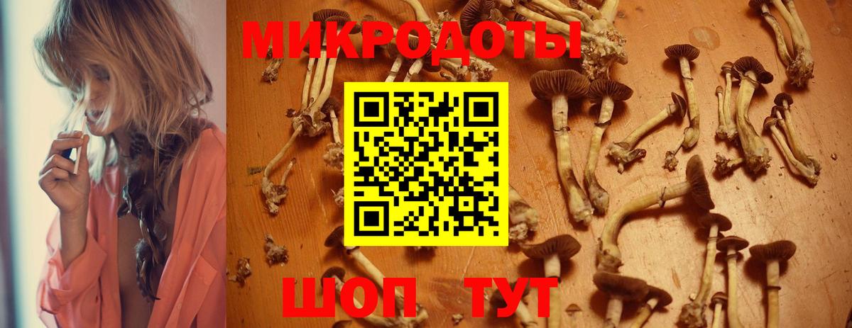 Псилоцибиновые грибы прущие грибы  Галлюциногенные грибы Psilocybine cubensis  Заречный  Вход с VPN 
