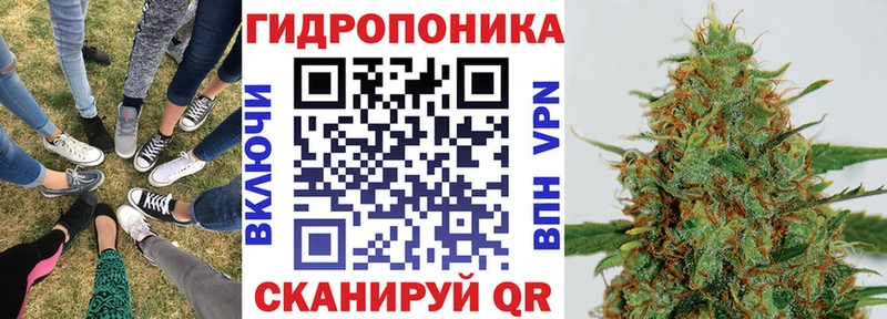 купить наркоту  Заречный  MEGA ТОР  Марихуана ГИДРОПОН 